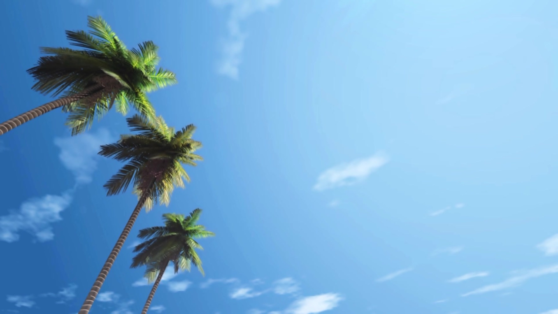 South Florida palms against a blue sky